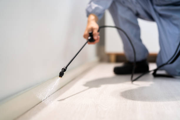 Licensed Termite Control service in Sheridan, IL - Nex Pest Control