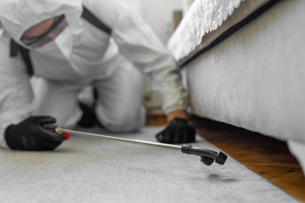 Professional Termite Control technician working in Sheridan, IL