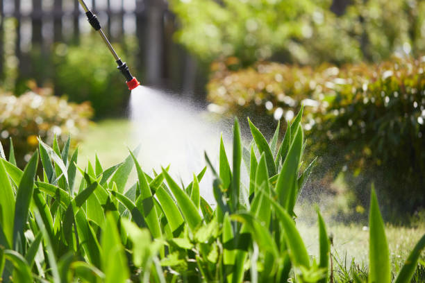 24/7 Emergency Termite Control experts in Sheridan, IL