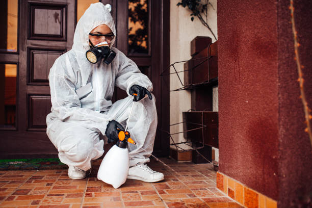 Reliable Termite Control contractor in Sheridan, IL by Nex Pest Control