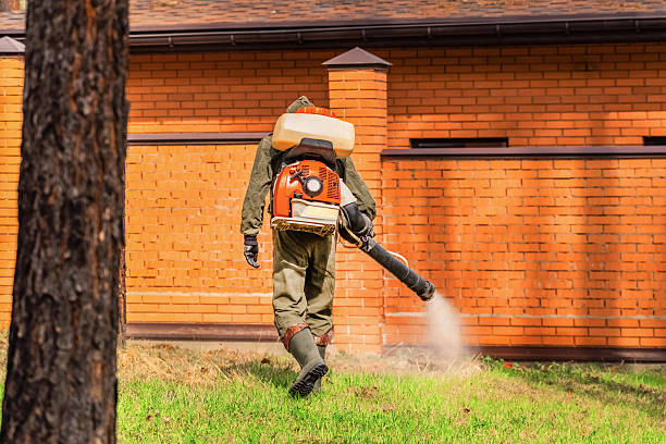 Top rated local Termite Control specialists in Sheridan, IL